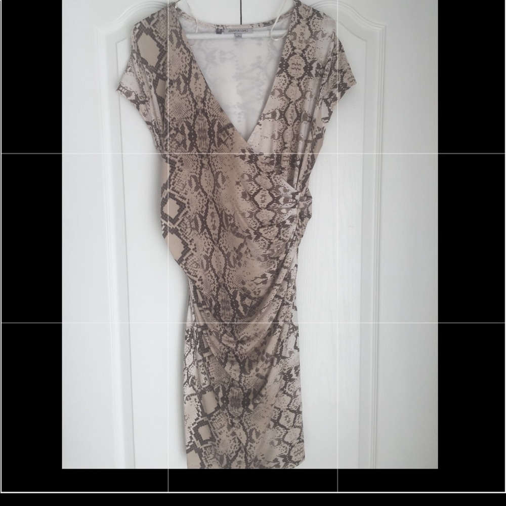 Jennifer Lopez Fitted Dress